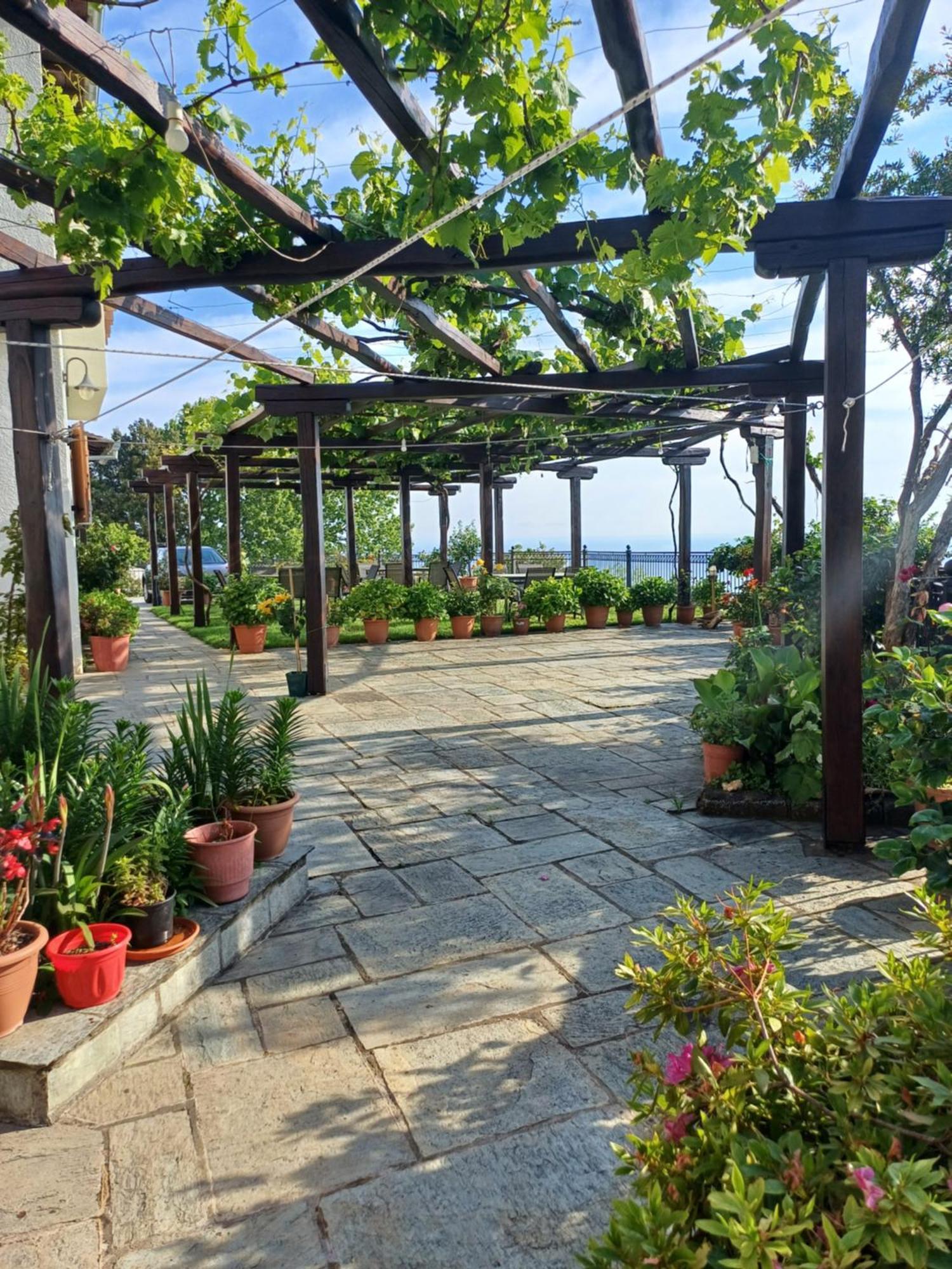 Olga Studios Tsagarada Zewnętrze zdjęcie