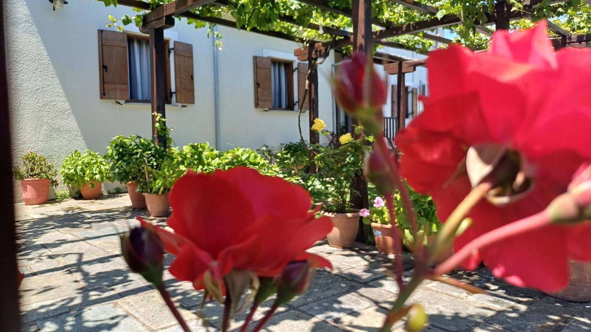 Olga Studios Tsagarada Zewnętrze zdjęcie