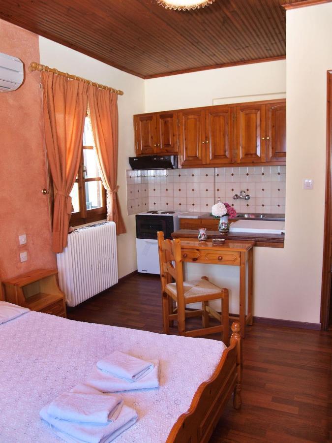 Olga Studios Tsagarada Pokój zdjęcie