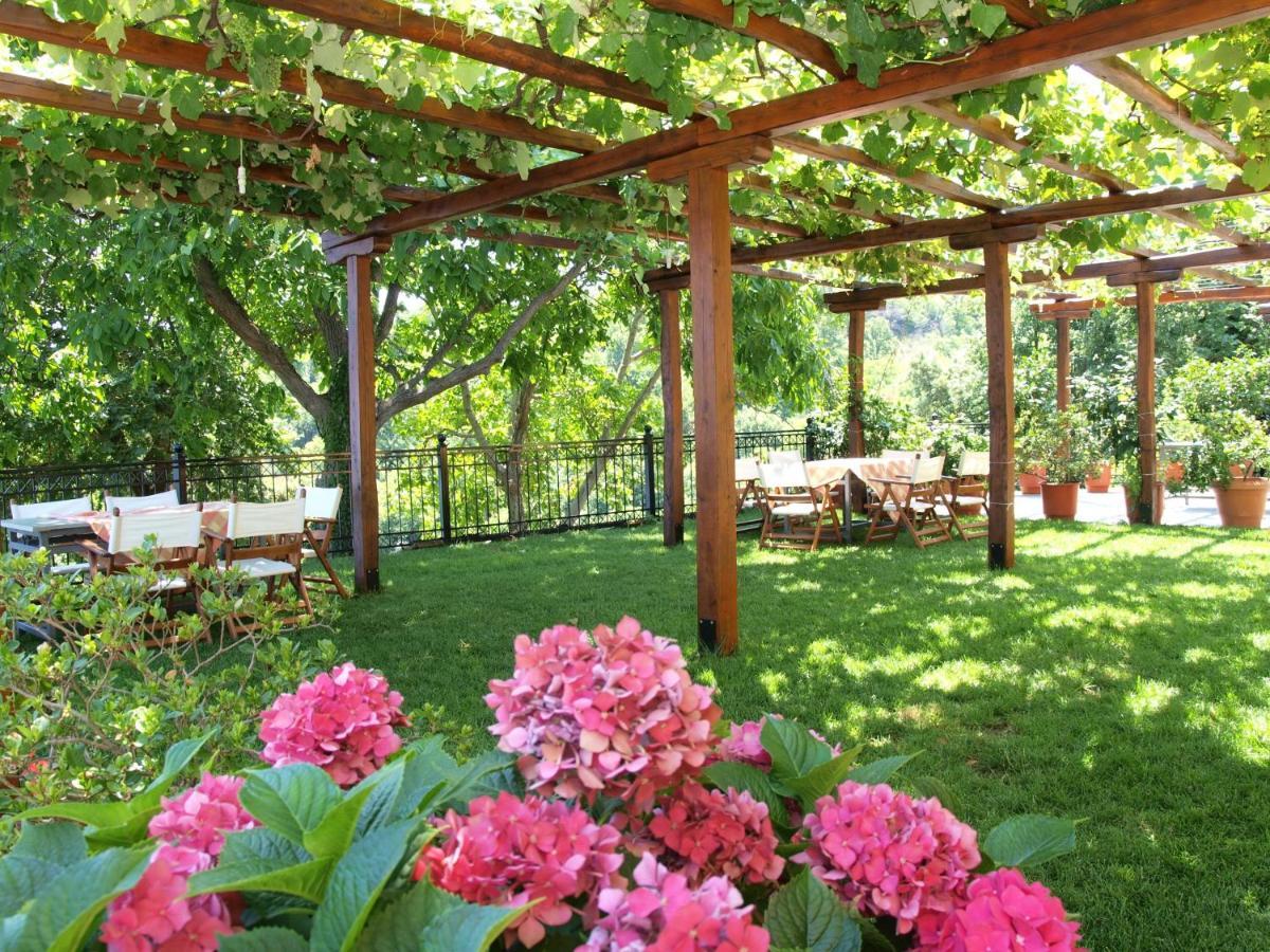 Olga Studios Tsagarada Zewnętrze zdjęcie